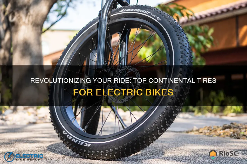 best continental tires for electric bike