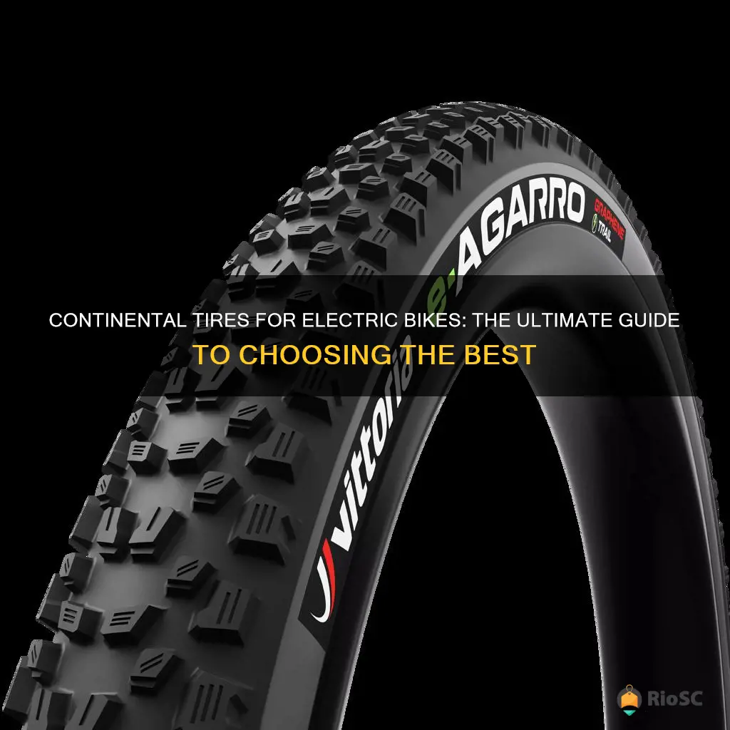 best continental tires for electric bike