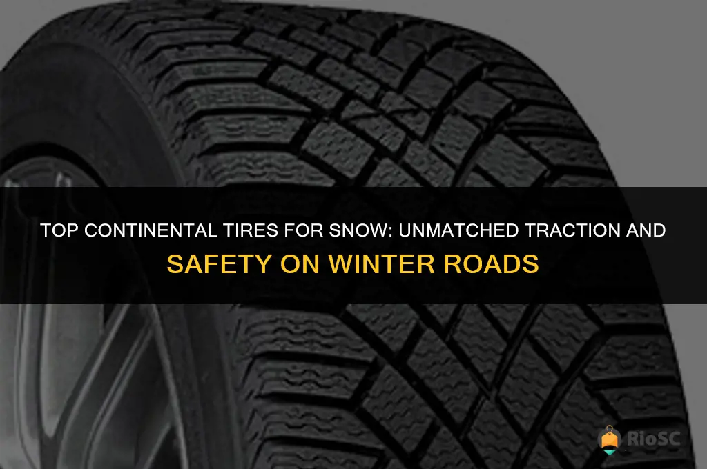 best continental tires for snow