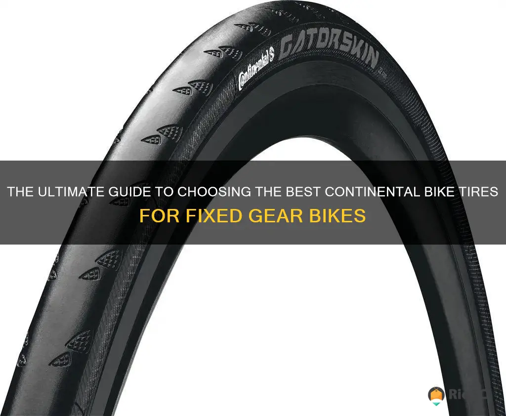 best contintental bike tires to get for fixed gear