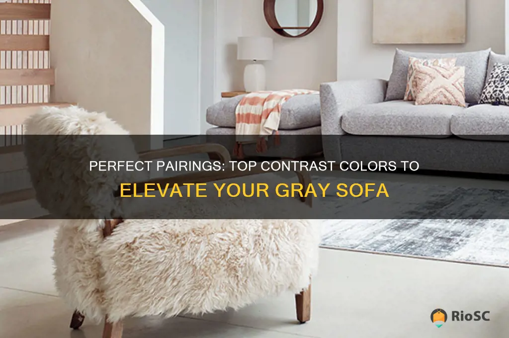 best contrast colors for gray sofa