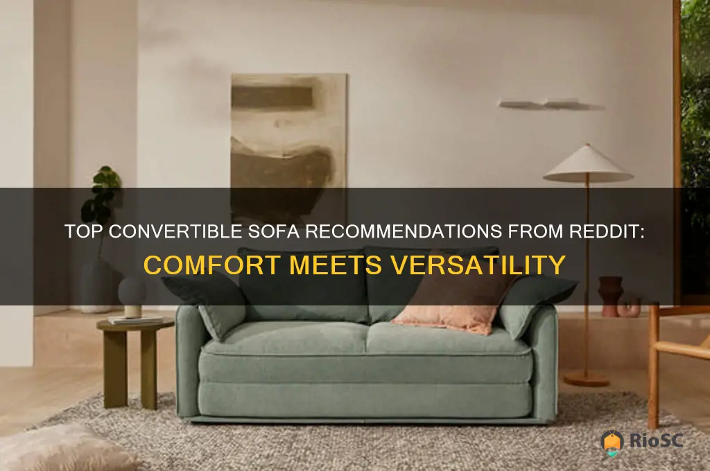 best convertable sofa rddit