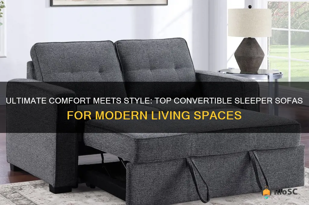 best convertible sleeper sofa