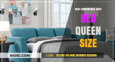 Top-Rated Convertible Sofa Beds: Queen Size Options for Comfort and Style