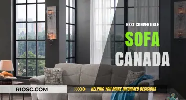 Top Convertible Sofa Options in Canada: Comfort Meets Versatility