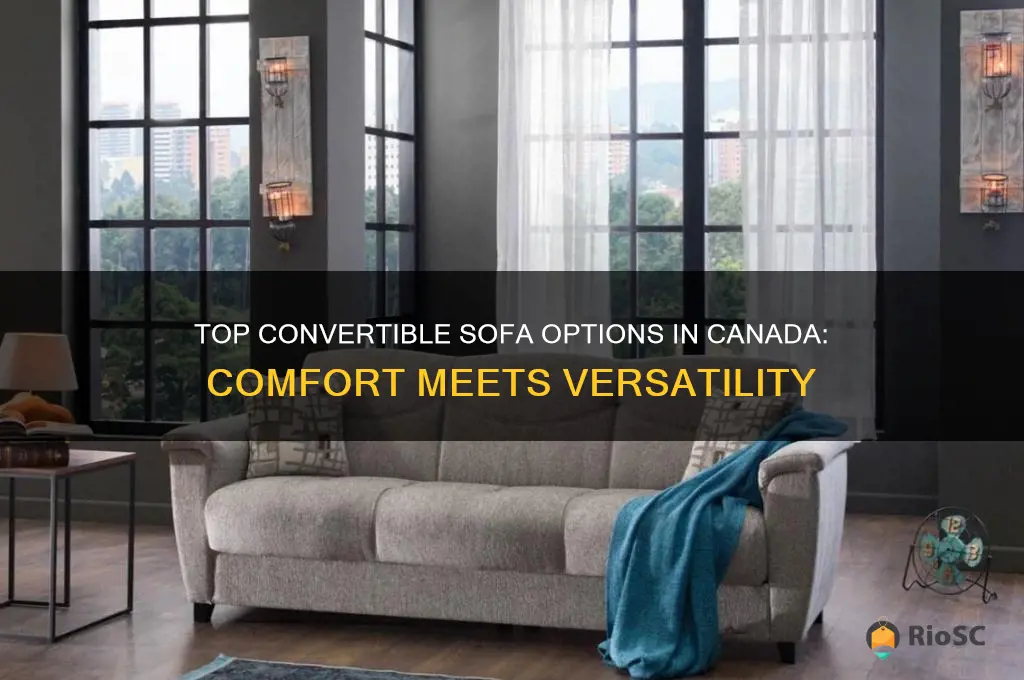 best convertible sofa canada