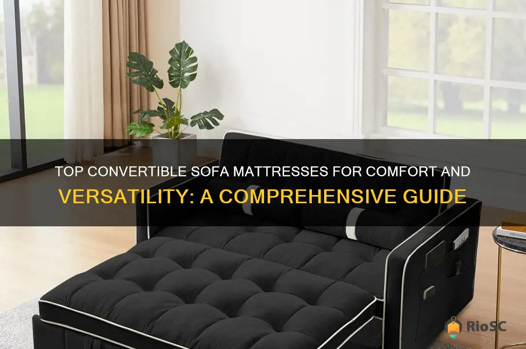 best convertible sofa mattress