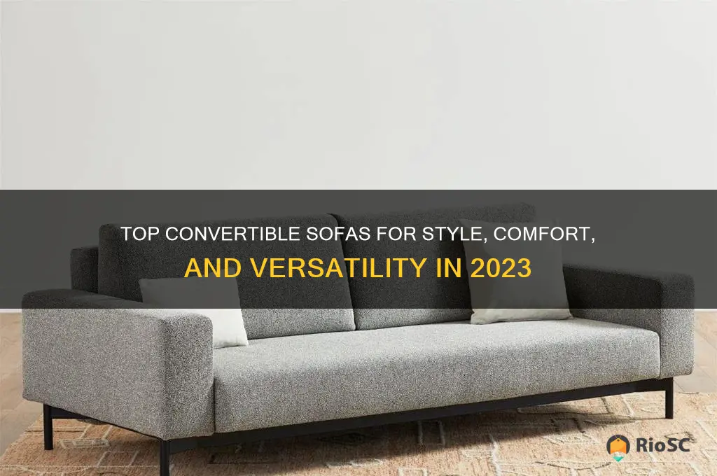 best convertible sofas