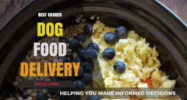 Top-Rated Cooked Dog Food Delivery Services: A Comprehensive Guide for Pet Owners