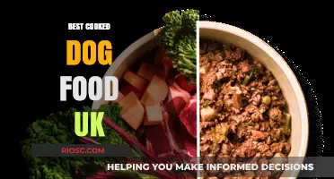 Top-Rated Cooked Dog Food Options in the UK: A Comprehensive Guide for Pet Owners