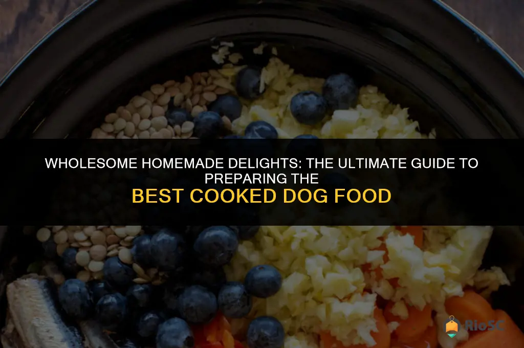 best cooked dog food