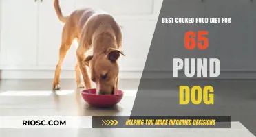 Optimal Cooked Food Diet for a 65-Pound Dog: A Nutritional Guide