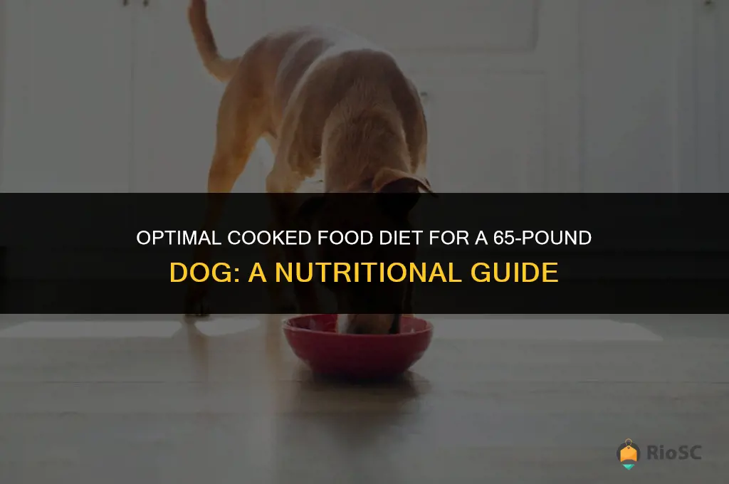 best cooked food diet for 65 pund dog