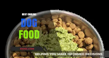 Chill Out: The Top Cooling Dog Food Options for Hot Summer Days