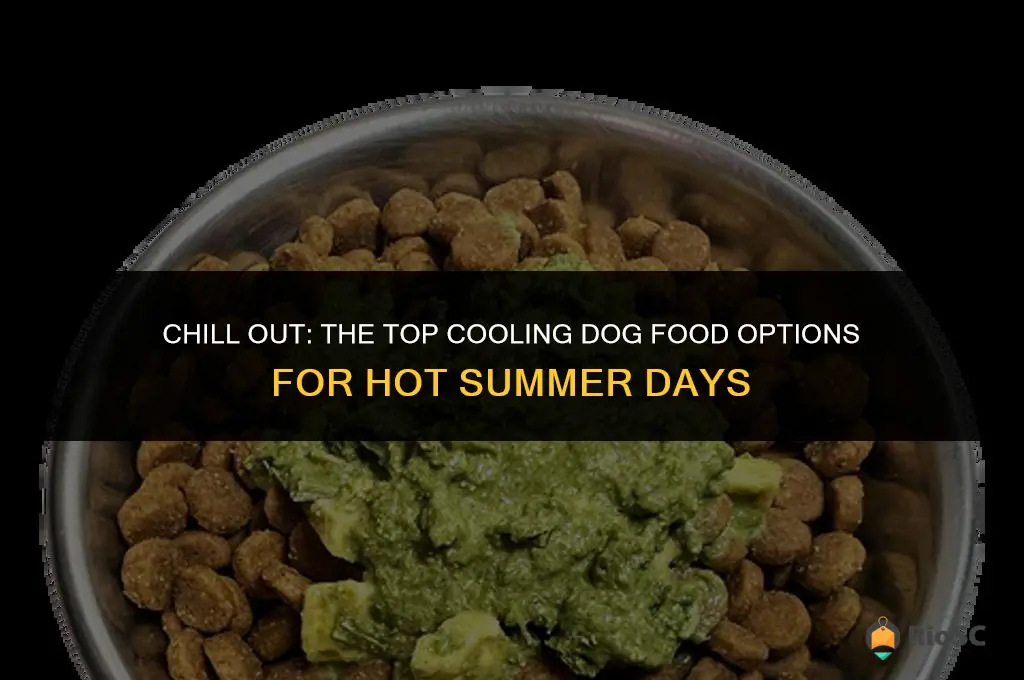 best cooling dog food