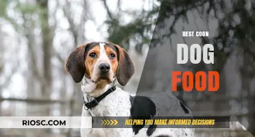 Top Picks for Coonhound Nutrition: A Guide to the Best Dog Food Options