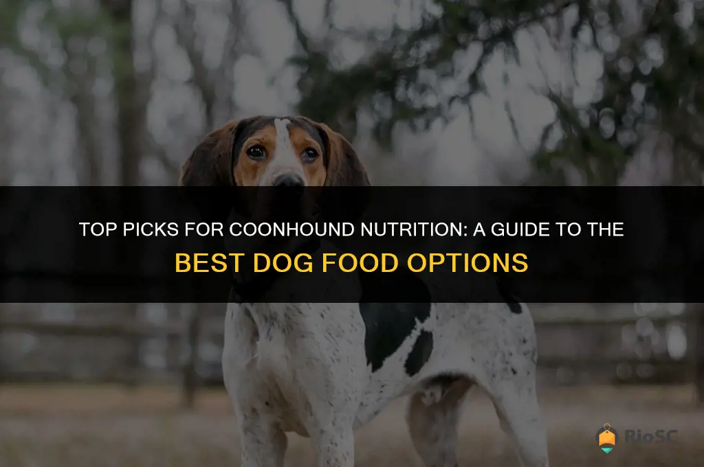 best coon dog food