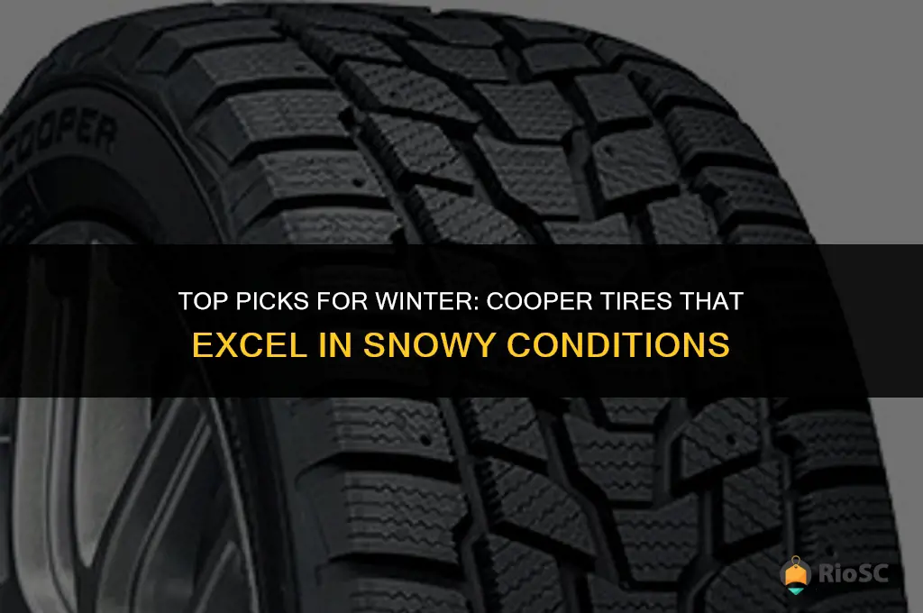 best cooper winter tires