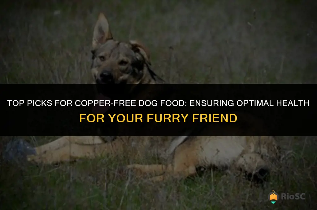 best copper free dog food