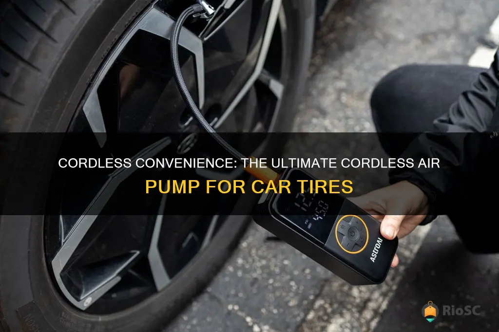 best cordless air pump for car tires