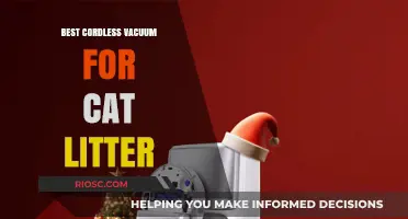 Purr-fectly Clean: Top Cordless Vacuum for Cat Litter Cleanup