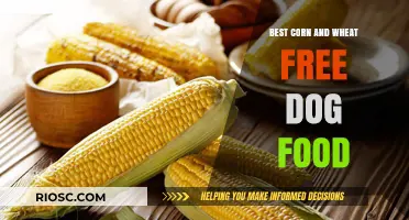 Top Picks for Corn and Wheat Free Dog Food: A Comprehensive Guide
