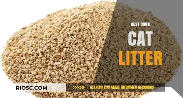 Eco-Friendly and Odor-Free: Discover the Best Corn Cat Litter for Your Feline Friend