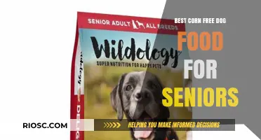 Top Picks for Senior Dogs: The Best Corn-Free Dog Food Options