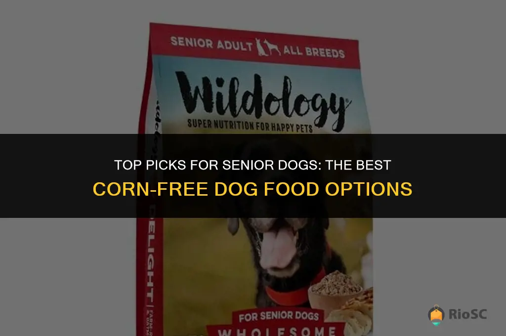 best corn free dog food for seniors