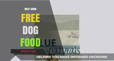 Top Corn-Free Dog Food Options for a Healthier Canine Diet