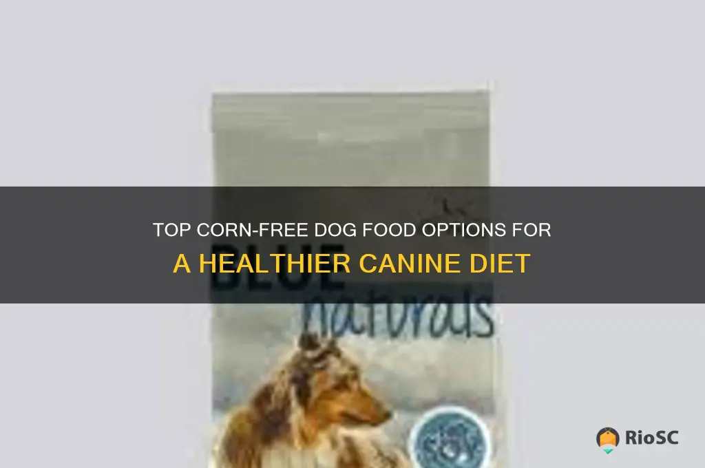 best corn free dog food
