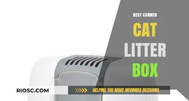 Top Picks for the Best Corner Cat Litter Box: Maximize Space and Minimize Mess