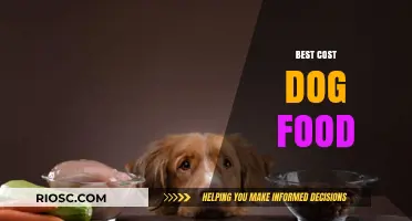 Affordable Nutrition: A Guide to the Best Cost-Effective Dog Foods