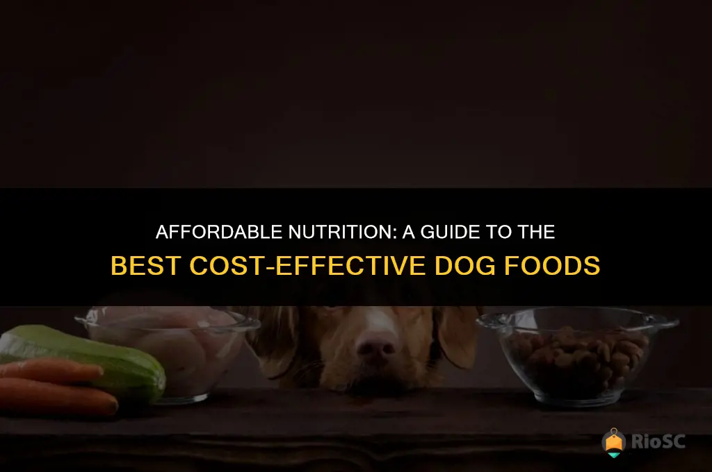 best cost dog food