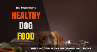 Affordable Nutrition: Unveiling the Best Cost-Effective Healthy Dog Food Options