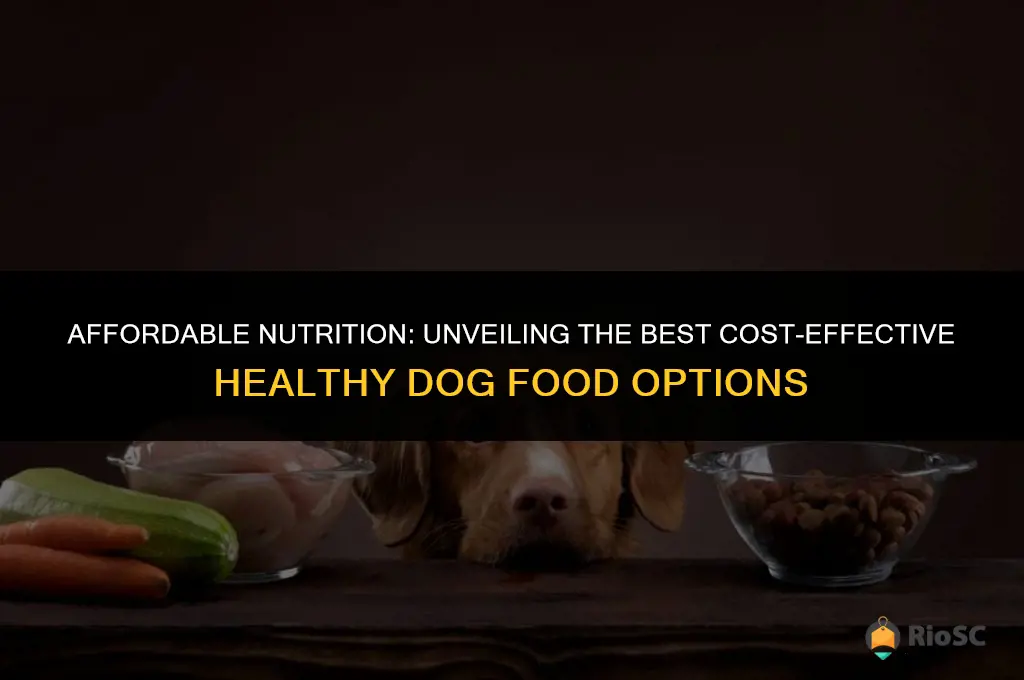 best cost effective healthy dog food