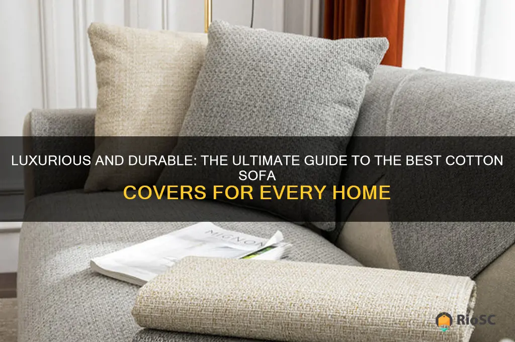 best cotton sofa covers