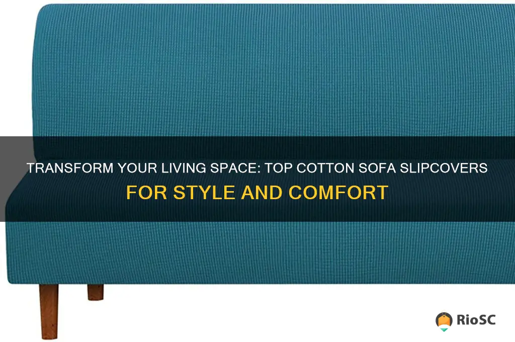 best cotton sofa slipcovers