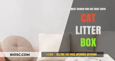 Purr-fect Pair: Top Couch Picks for Cats and the Best Auto Cat Litter Boxes for a Spotless Home