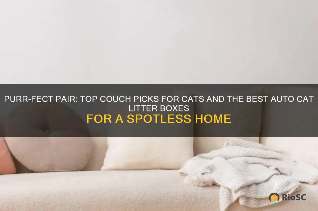 best couch for cat best auto cat litter box