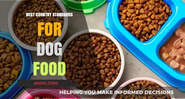 Exploring Global Excellence: A Comparative Analysis of Dog Food Standards Across Countries