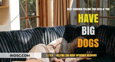 Pet-Friendly Comfort: Choosing the Best Cushion Filling for Sofas with Big Dogs