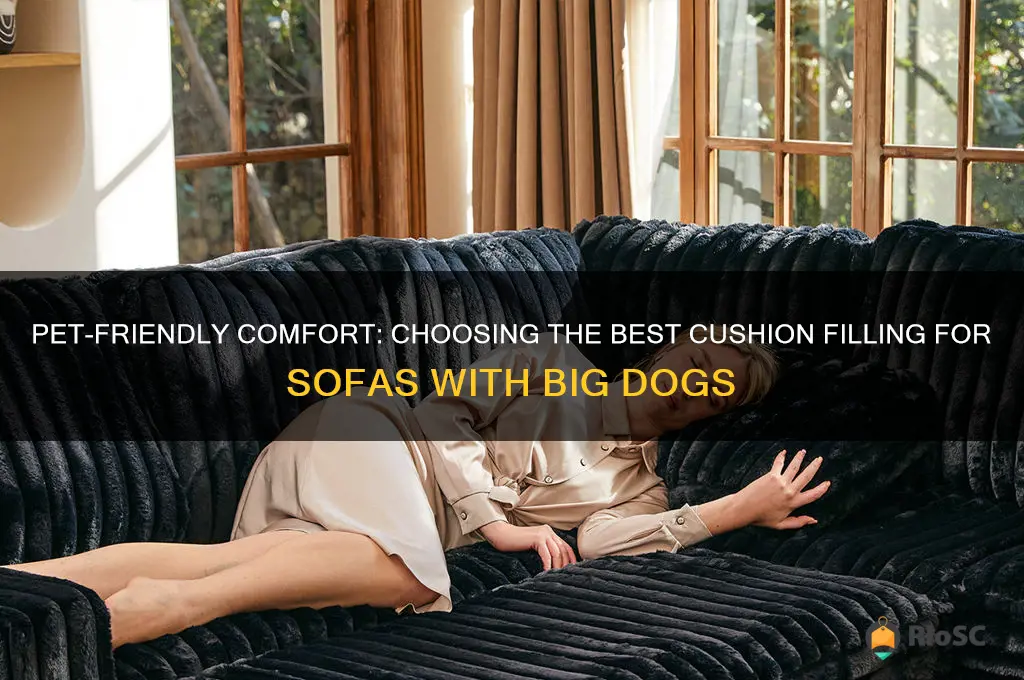 best cousion filling for sofa if you have big dogs