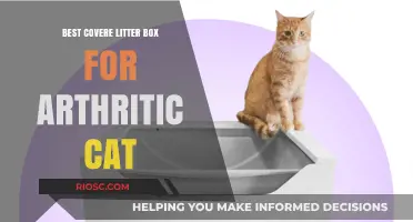 Arthritis-Friendly Litter Box Solutions: Top Covered Options for Senior Cats