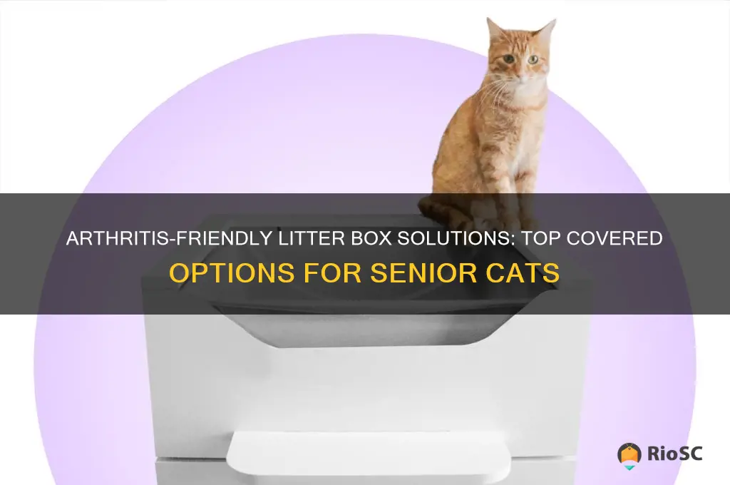 best covere litter box for arthritic cat