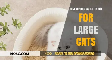 Spacious and Stylish: Top Covered Cat Litter Boxes for Large Cats