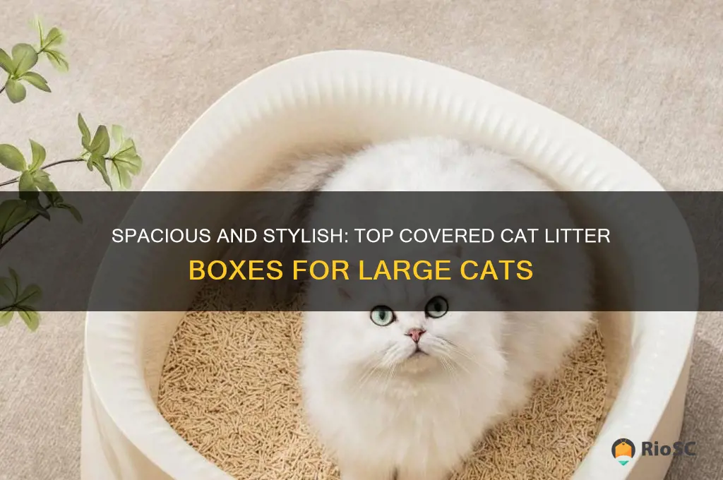 best covered cat litter box for large cats