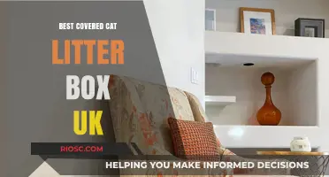 Top Covered Cat Litter Boxes in the UK: Stylish, Odour-Free, and Mess-Proof Solutions for Your Feline Friend