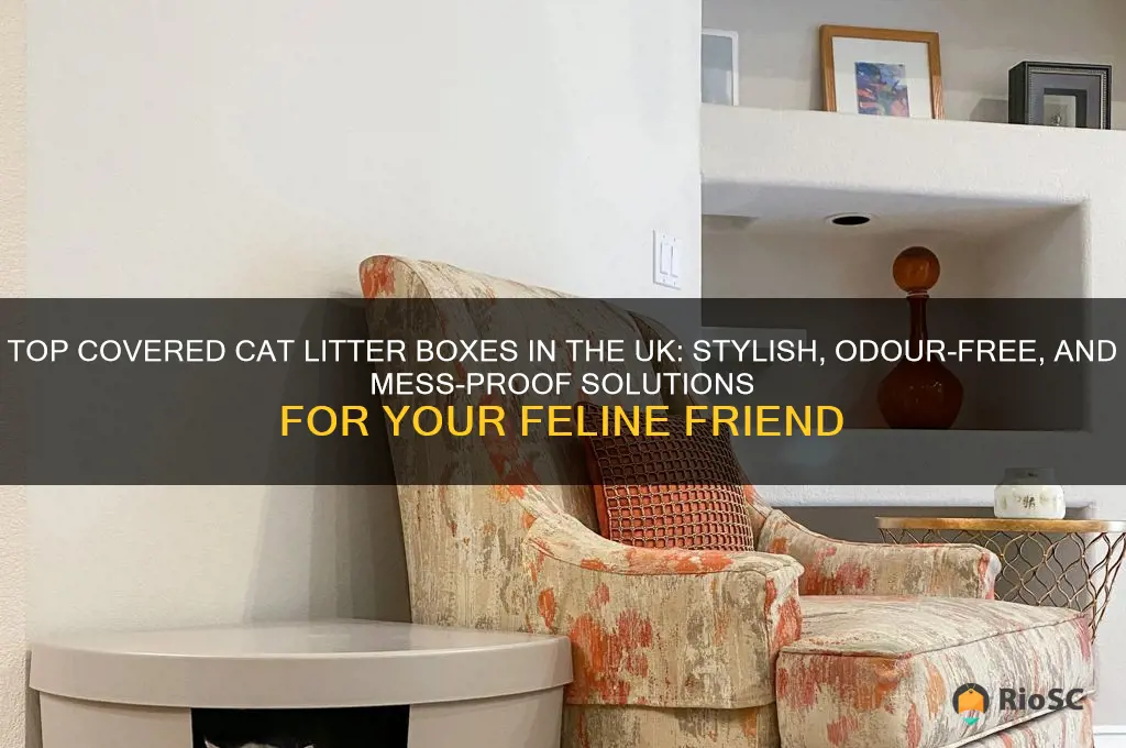 best covered cat litter box uk