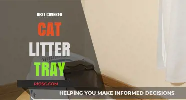 Top Picks for the Best Covered Cat Litter Tray: Keep Your Home Clean and Odor-Free